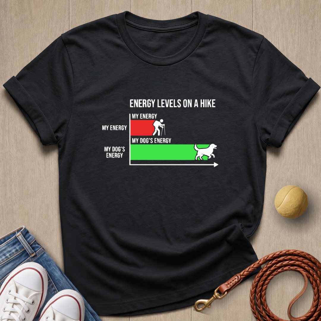 Energy Level T-shirt