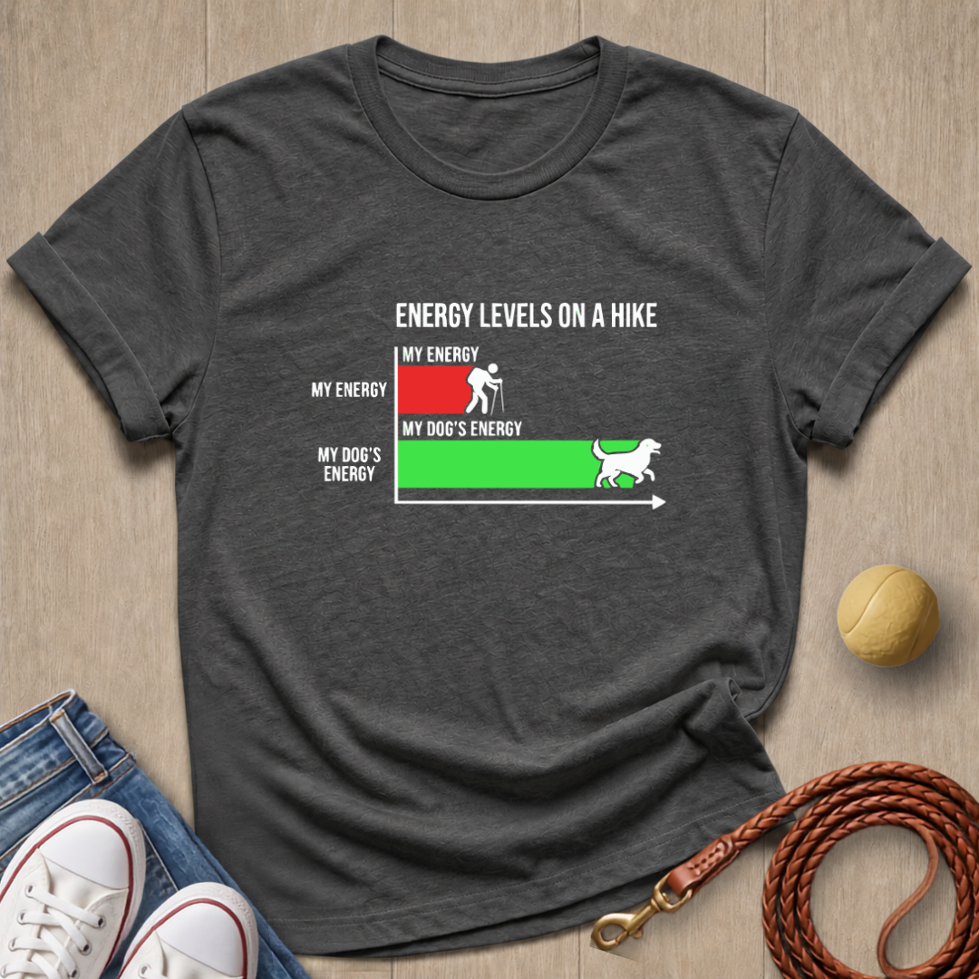Energy Level T-shirt