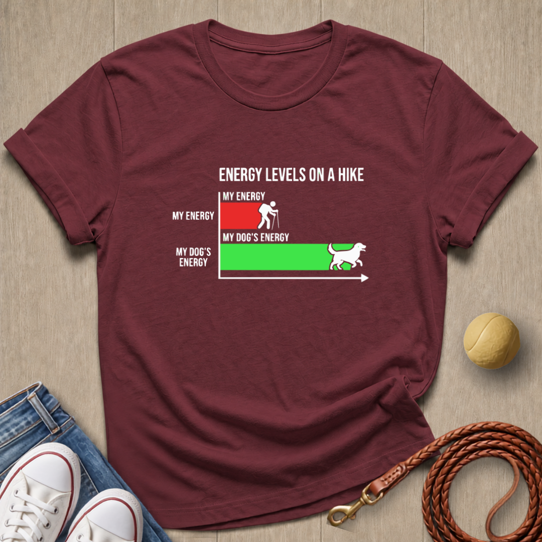Energy Level T-shirt