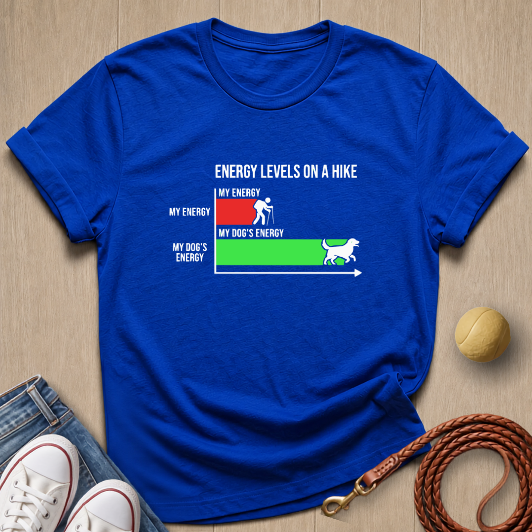 Energy Level T-shirt