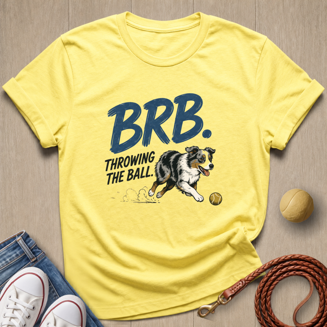 BRB T-shirt